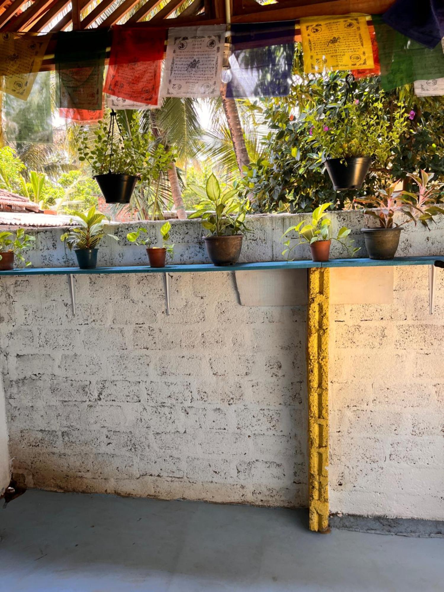Yoga Shack Homestay